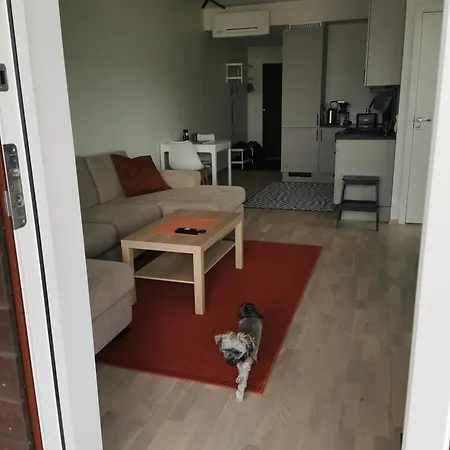Apartment Ons- Leilighet Til Leie Under Messen *